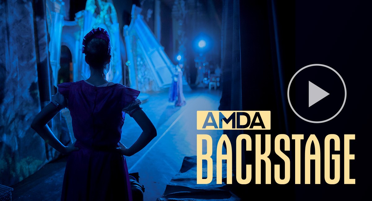 American Musical And Dramatic Academy - Los Angeles